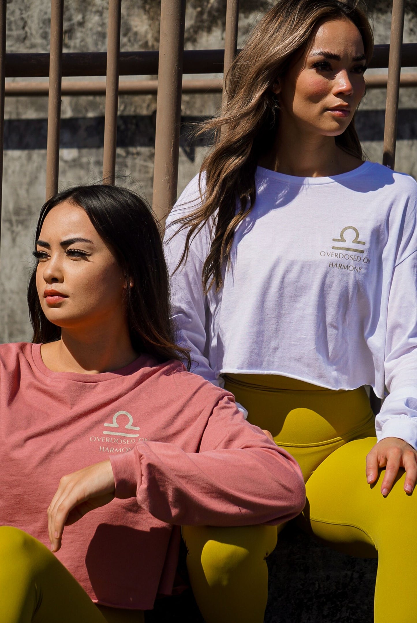Libra SZN Rose Long Sleeve Crop