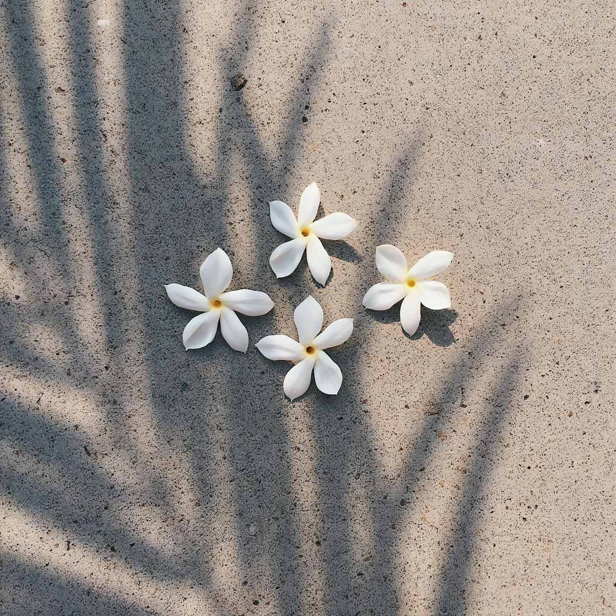 Pikake Jasmine Mist